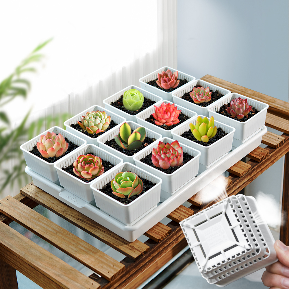 Cactus Mix Pot - Meshpot Succulent Pot Plastic Flower Pot