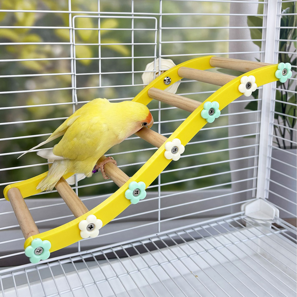 Plant Parenthood - Parrot Climbing Ladder Bird Flower Bridge