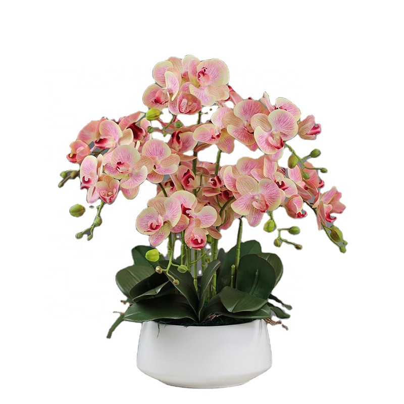 Orchid Phalaenopsis - Decorative Flower Plastic Flowers 43cm Artificial