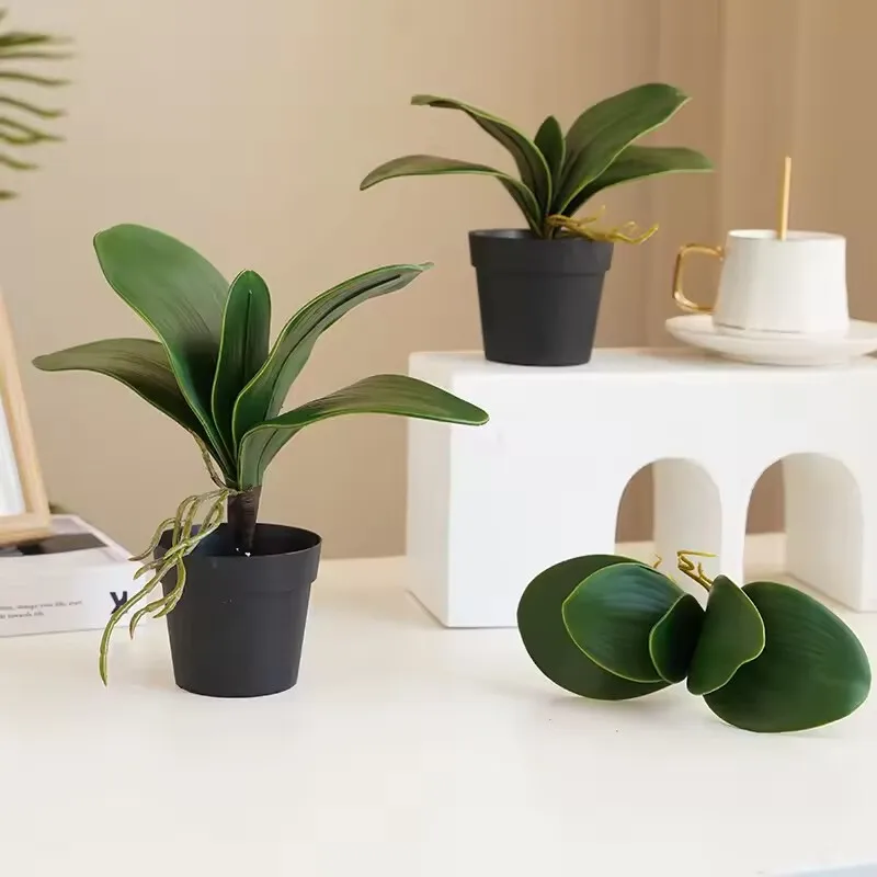 Orchid Phalaenopsis - 5 pieces of imitation orchid leaf