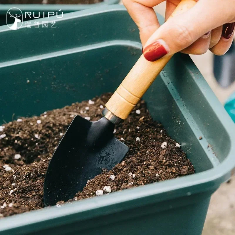 3Pcs/Set Mini Garden Tool Set  - Cactus Mix Pot review and price