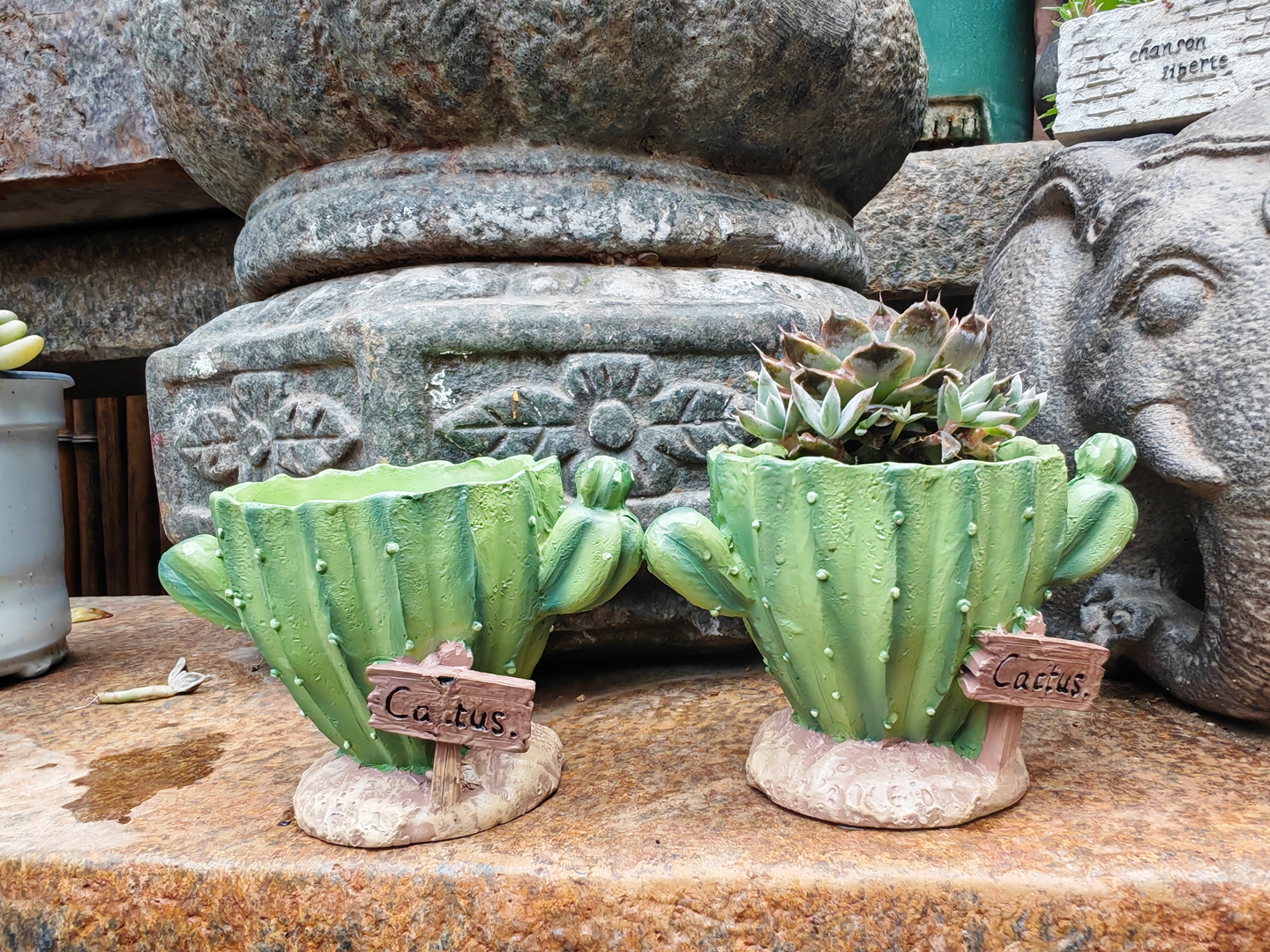 Cactus Flower Planter Pot Cute - Cactus Mix Pot review and price
