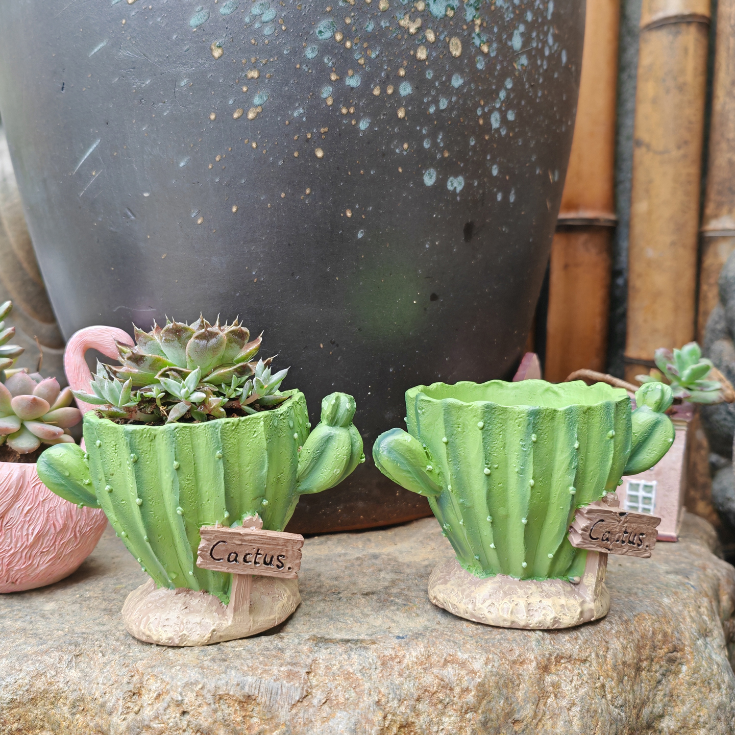 Cactus Flower Planter Pot Cute - Cactus Mix Pot review and price