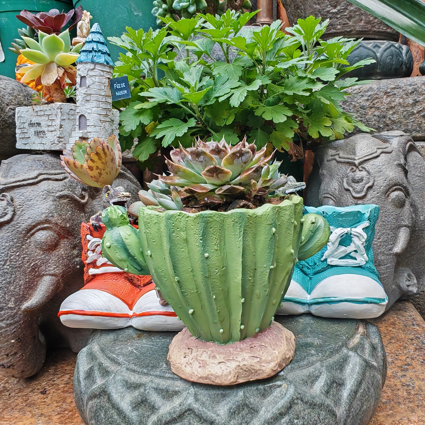 Cactus Flower Planter Pot Cute - Cactus Mix Pot review and price