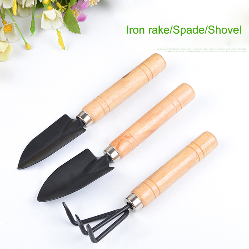 3Pcs/Set Mini Garden Tool Set  - Cactus Mix Pot review and price