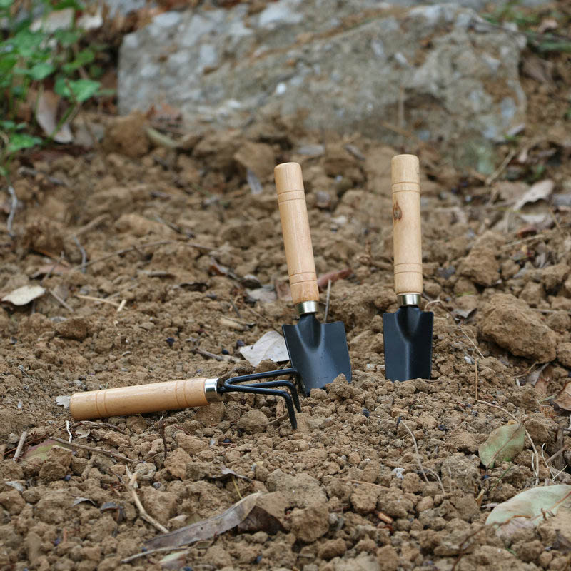 3Pcs/Set Mini Garden Tool Set  - Cactus Mix Pot review and price