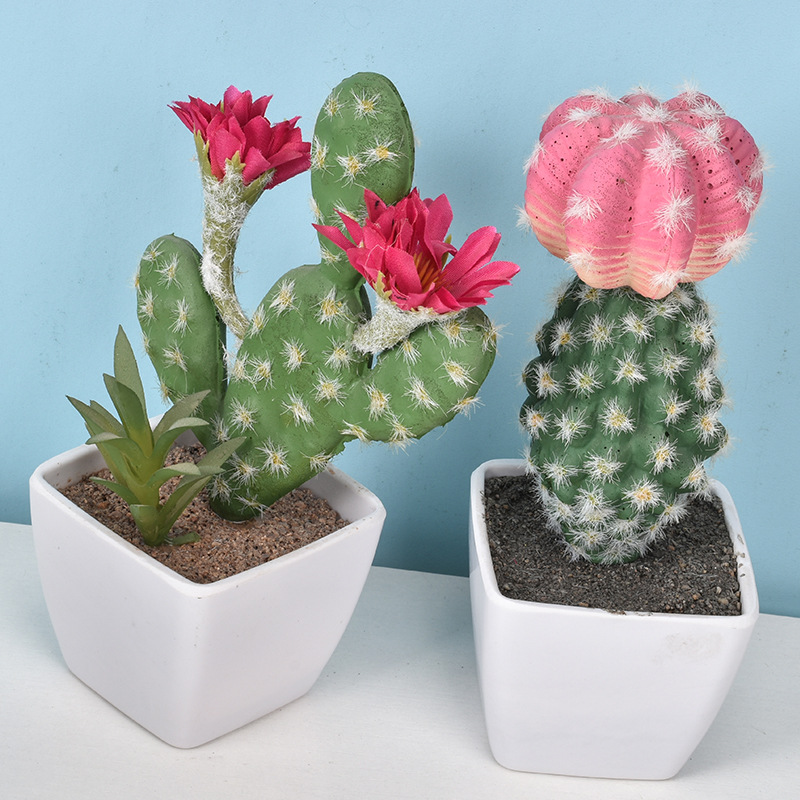 1PC Mini Fake Plastic Cactus W - Cactus Mix Pot review and price