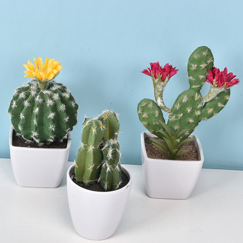 1PC Mini Fake Plastic Cactus W - Cactus Mix Pot review and price