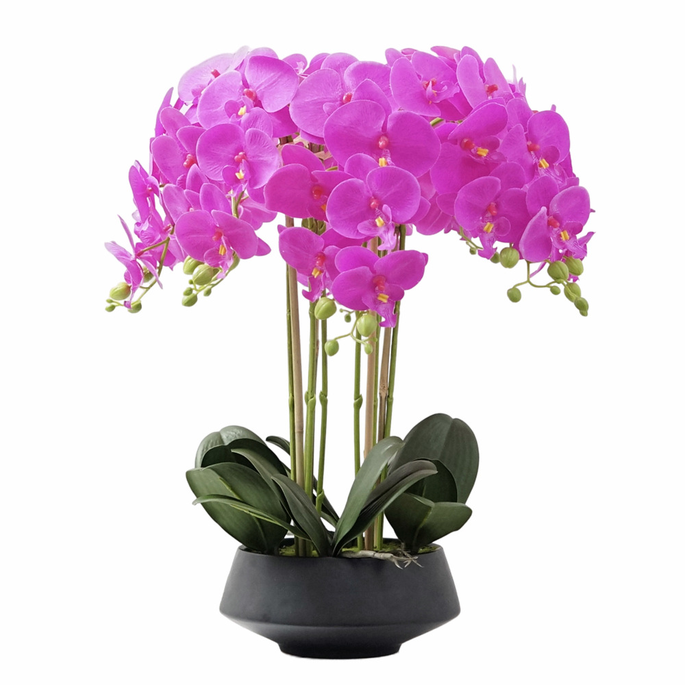 Artificial Potted Phalaenopsis - Orchid Phalaenopsis review and price