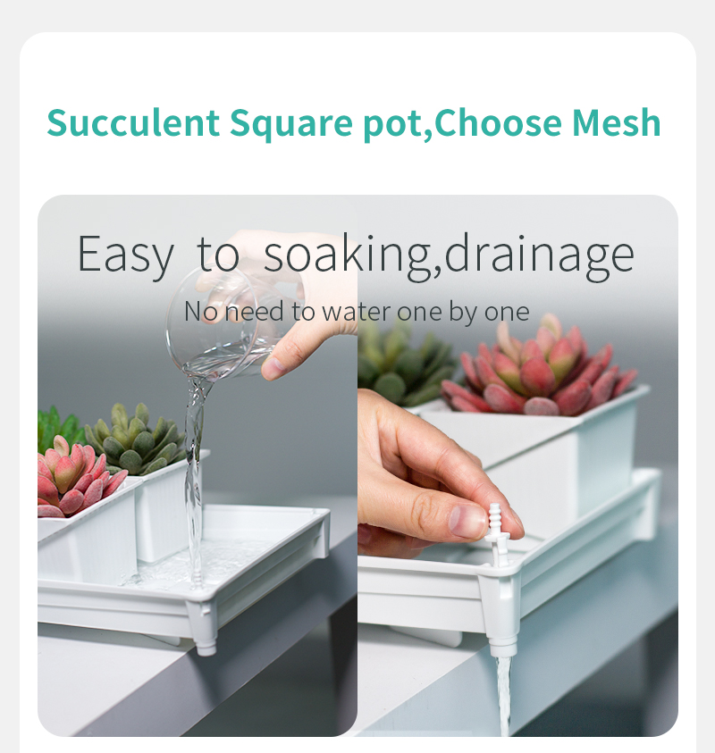 Meshpot Succulent Pot Set Cact - Cactus Mix Pot review and price