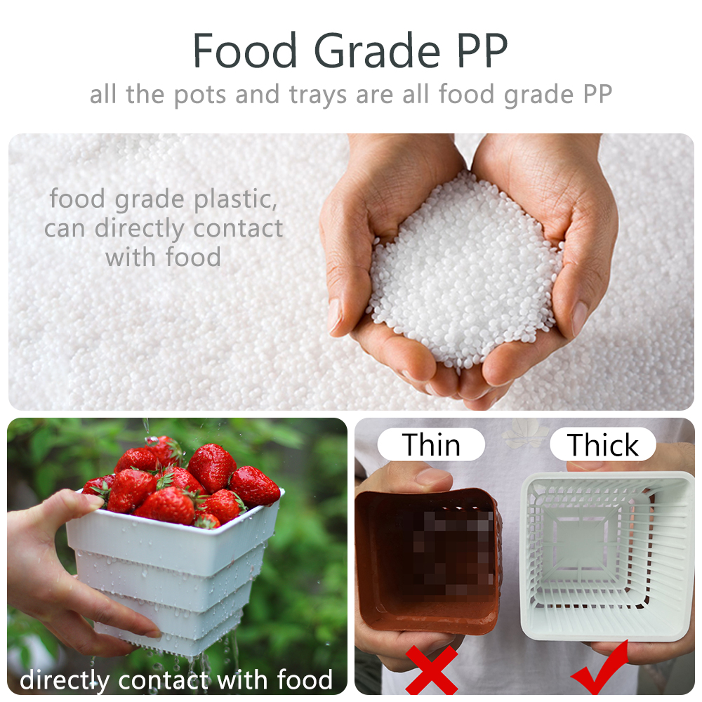 Meshpot Succulent Pot Set Cact - Cactus Mix Pot review and price
