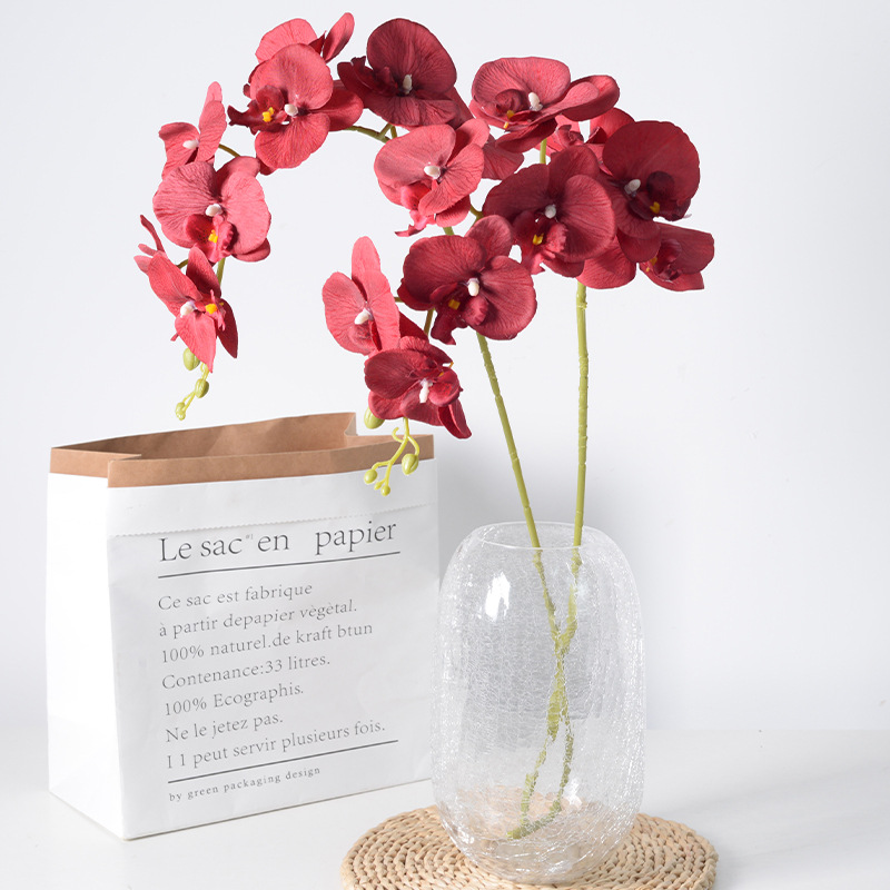 2pc 36cm Phalaenopsis Silk Clo - Orchid Phalaenopsis review and price