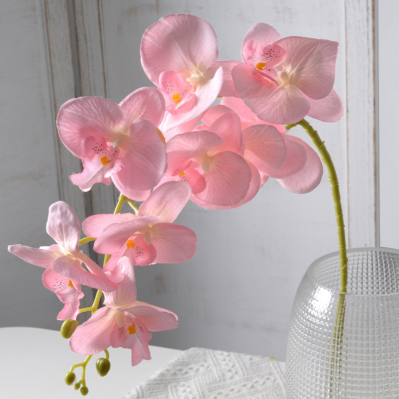 2pc 36cm Phalaenopsis Silk Clo - Orchid Phalaenopsis review and price