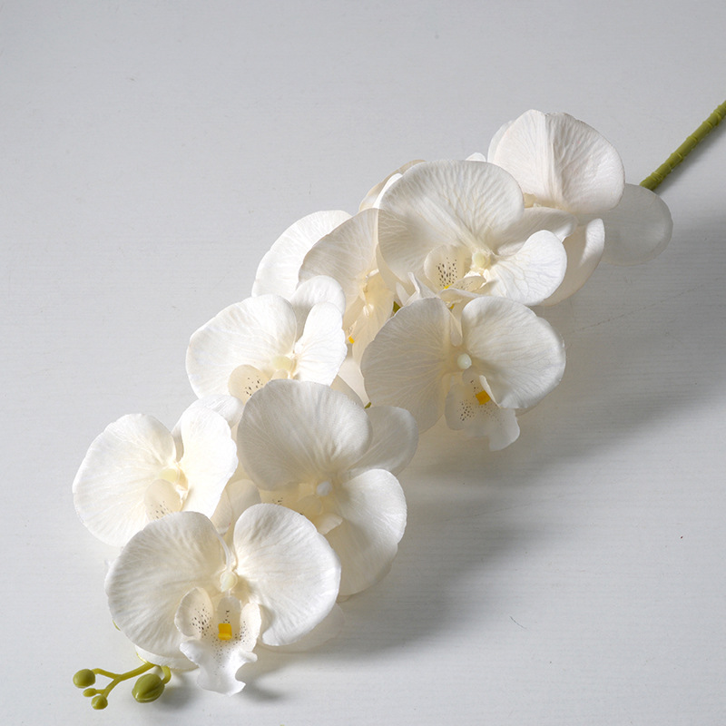 2pc 36cm Phalaenopsis Silk Clo - Orchid Phalaenopsis review and price