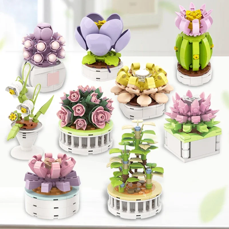 Block City DIY Potted Plants S - Cactus Mix Pot review and price