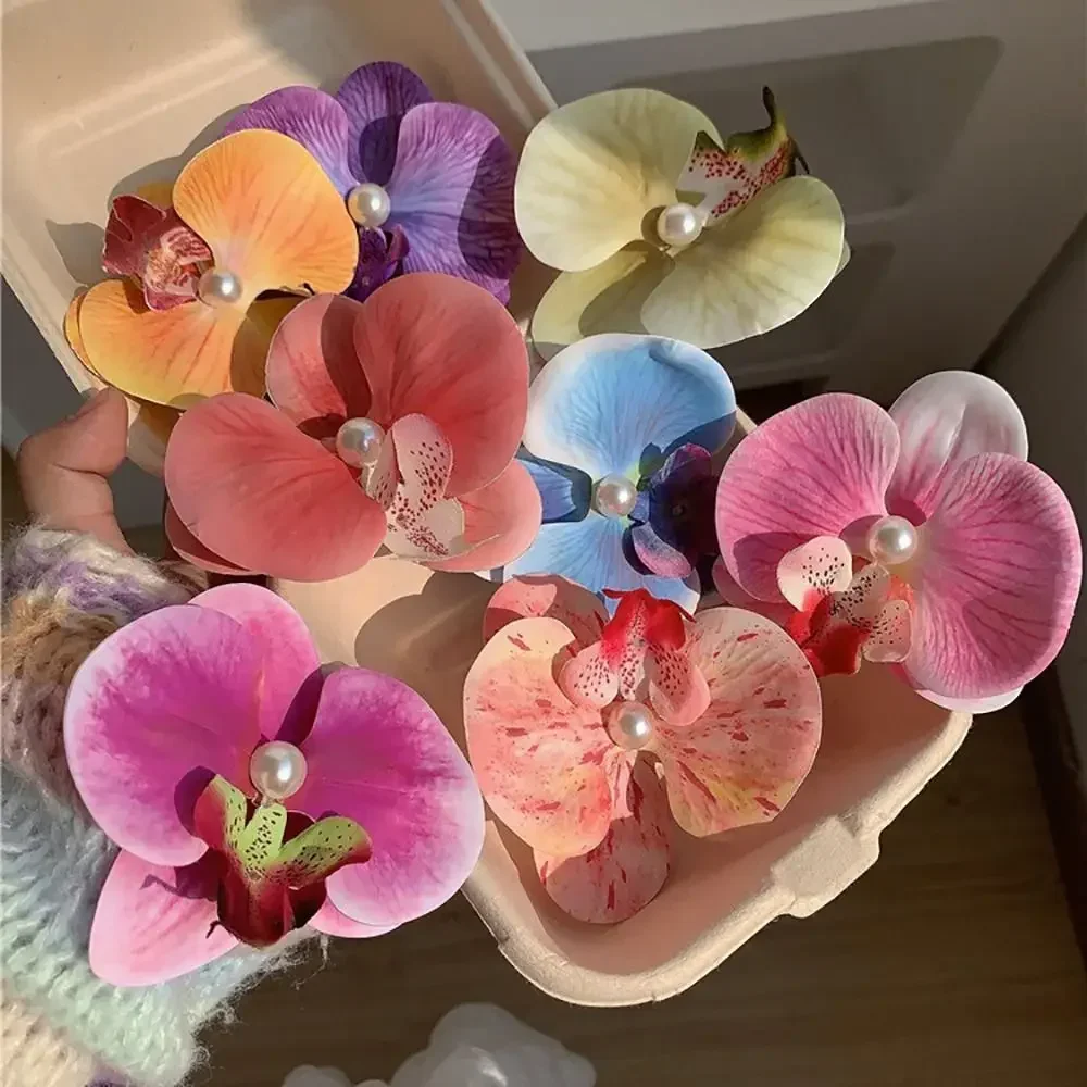 Phalaenopsis Pearl Hair Clip O - Orchid Phalaenopsis review and price