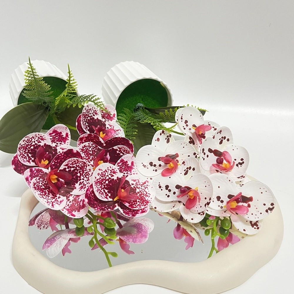 Multi-Bloom Simulated Butterfl - Orchid Phalaenopsis review and price