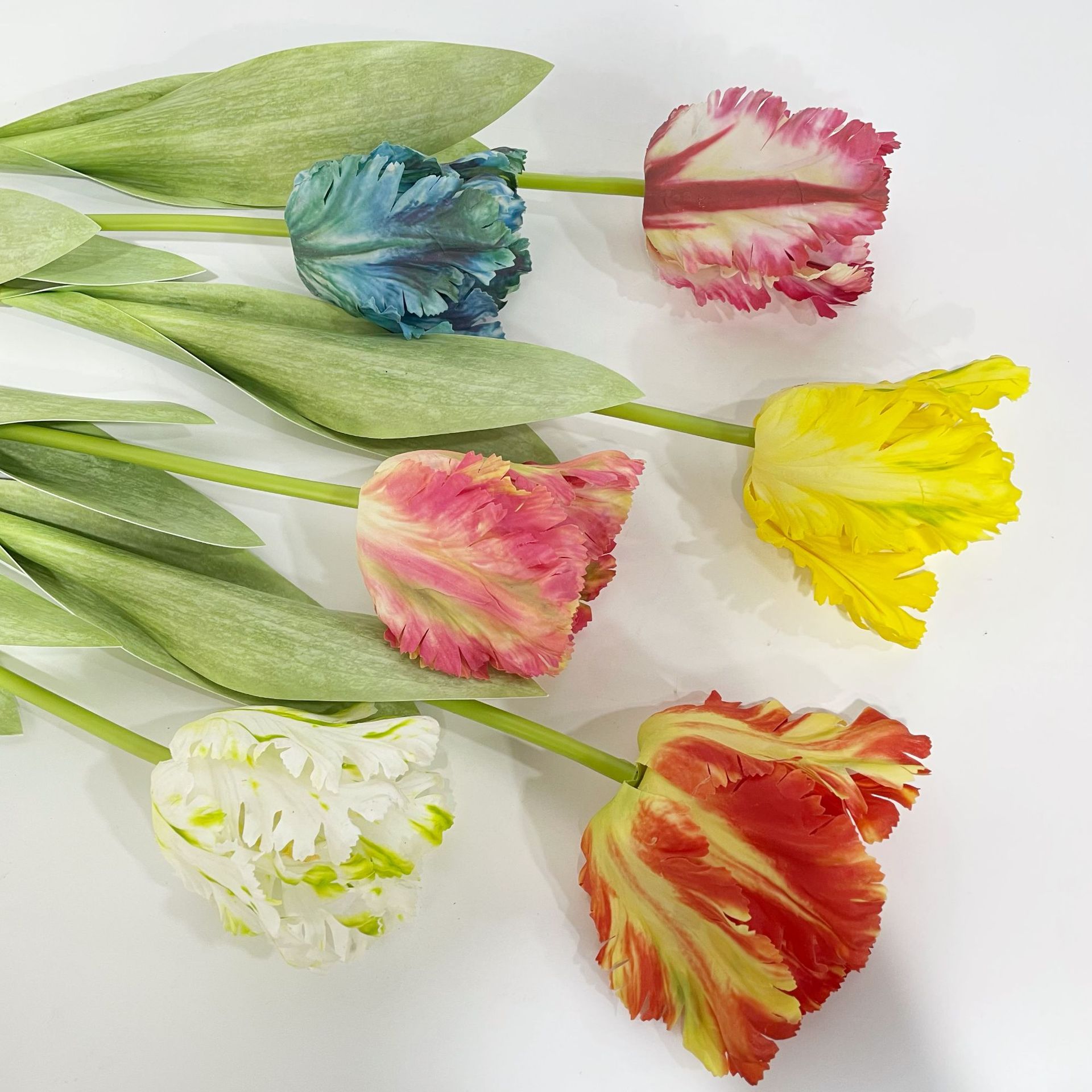Luxury 3D Parrot Tulip branch  - Plant Parenthood review and price