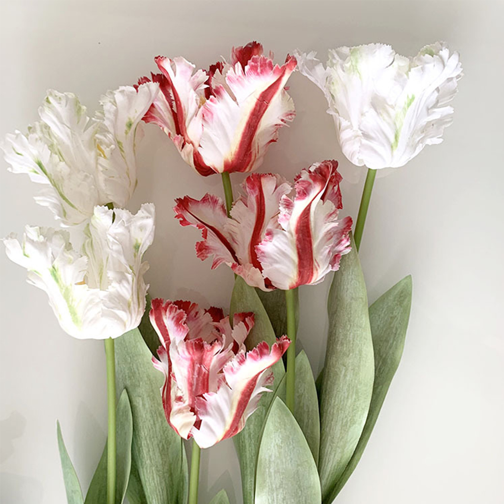 Luxury 3D Parrot Tulip branch  - Plant Parenthood review and price