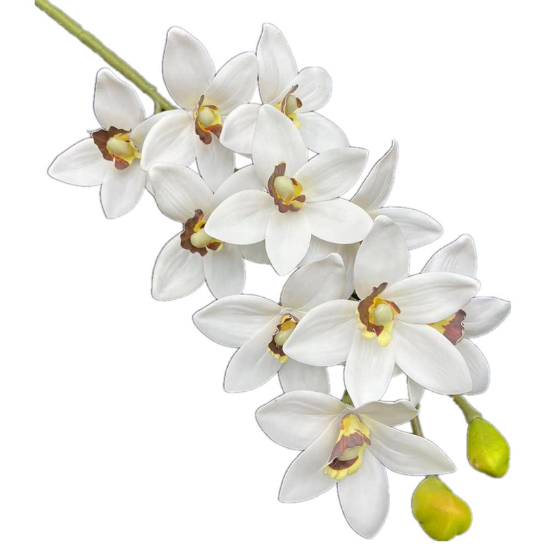 One Real Touch Cymbidium Hooke - Orchid Phalaenopsis review and price