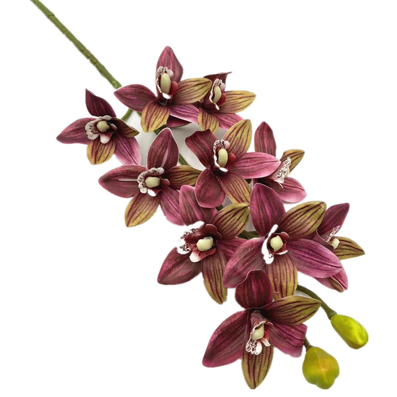 One Real Touch Cymbidium Hooke - Orchid Phalaenopsis review and price