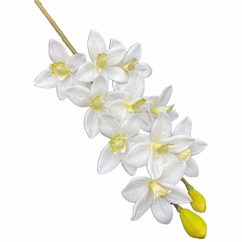One Real Touch Cymbidium Hooke - Orchid Phalaenopsis review and price