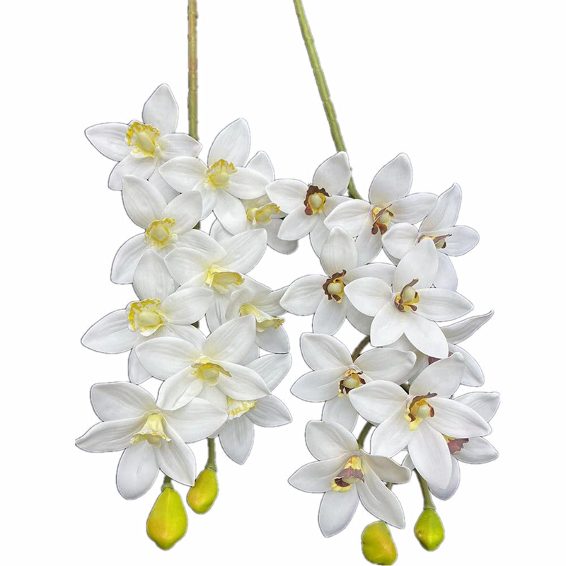 One Real Touch Cymbidium Hooke - Orchid Phalaenopsis review and price