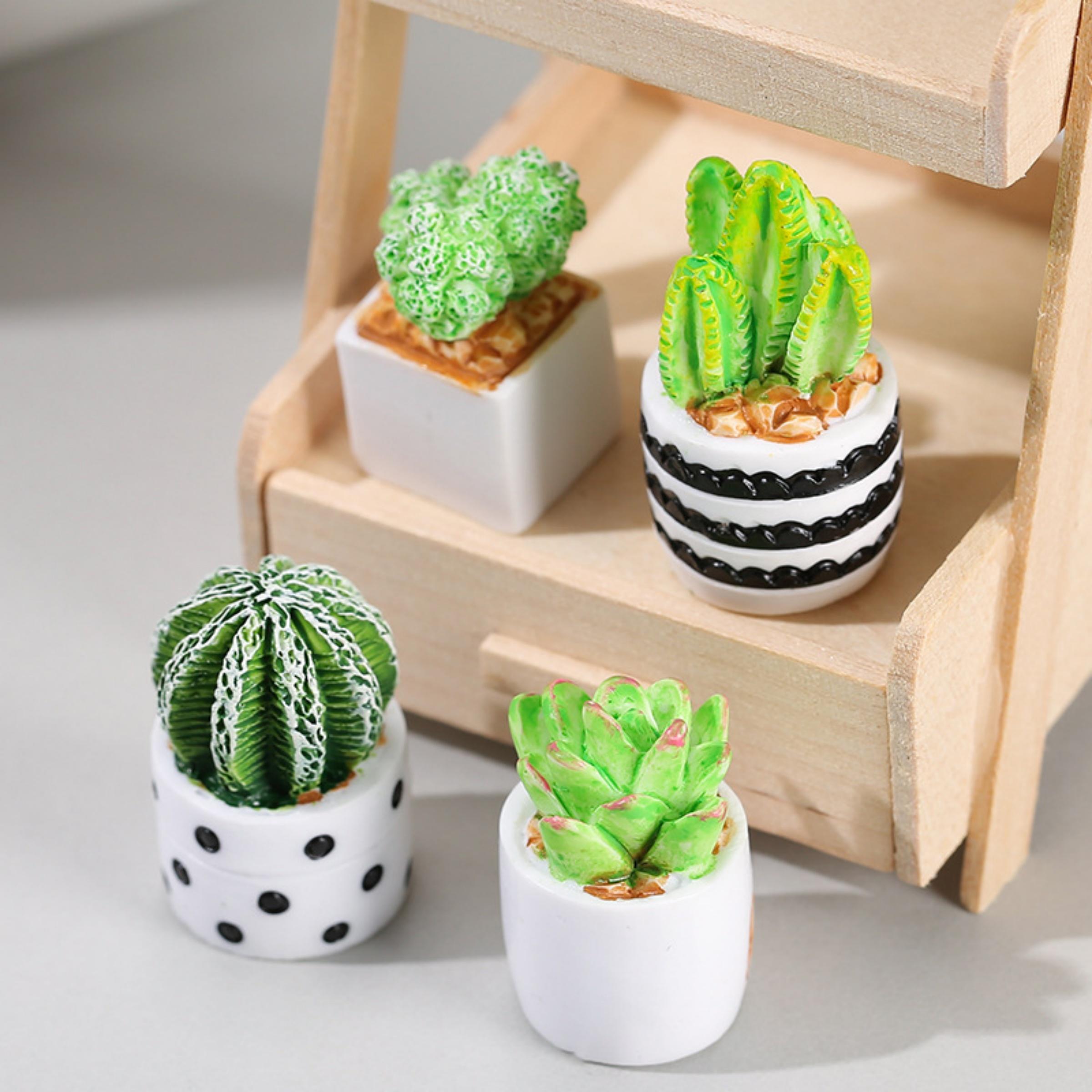 4-Piece Set of Cactus Succulen - Cactus Mix Pot review and price