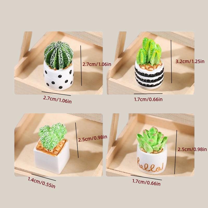4-Piece Set of Cactus Succulen - Cactus Mix Pot review and price