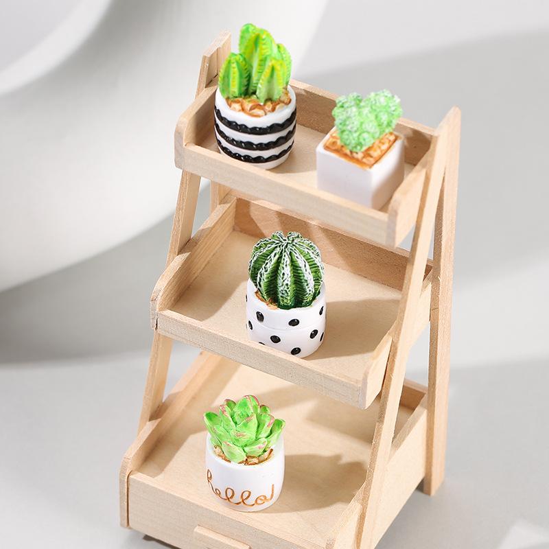 4-Piece Set of Cactus Succulen - Cactus Mix Pot review and price