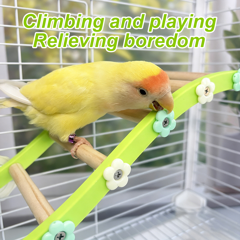 Parrot Climbing Ladder Bird Fl - Plant Parenthood review and price