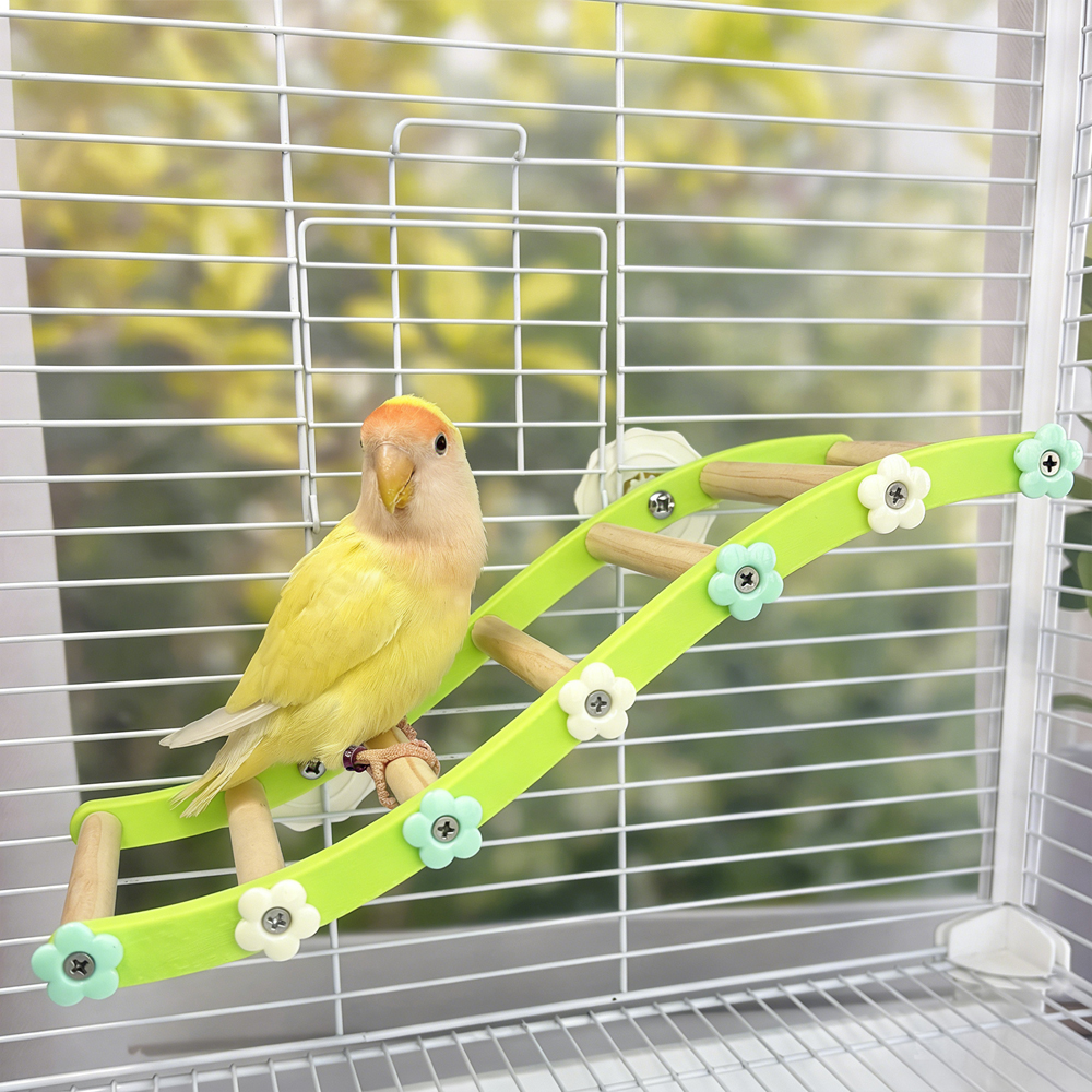 Parrot Climbing Ladder Bird Fl - Plant Parenthood review and price