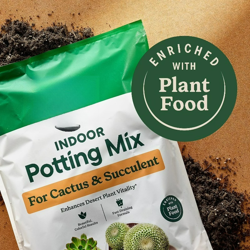 (2 pack)  Indoor Potting Mix f - Cactus Mix Pot review and price