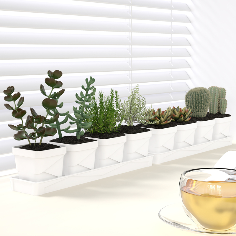 Nordic Minimalist Succulent Po - Cactus Mix Pot review and price