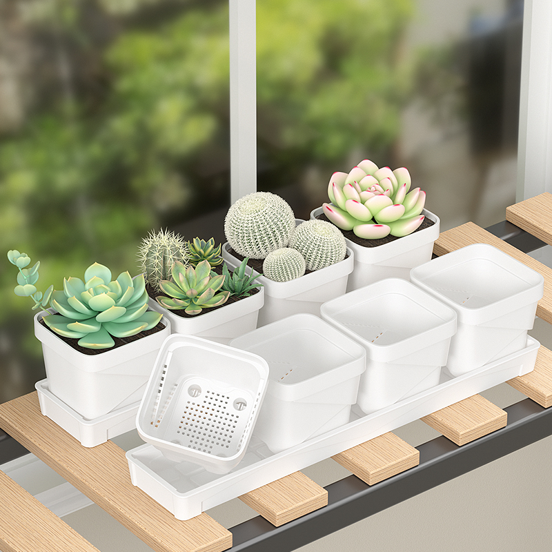 Nordic Minimalist Succulent Po - Cactus Mix Pot review and price