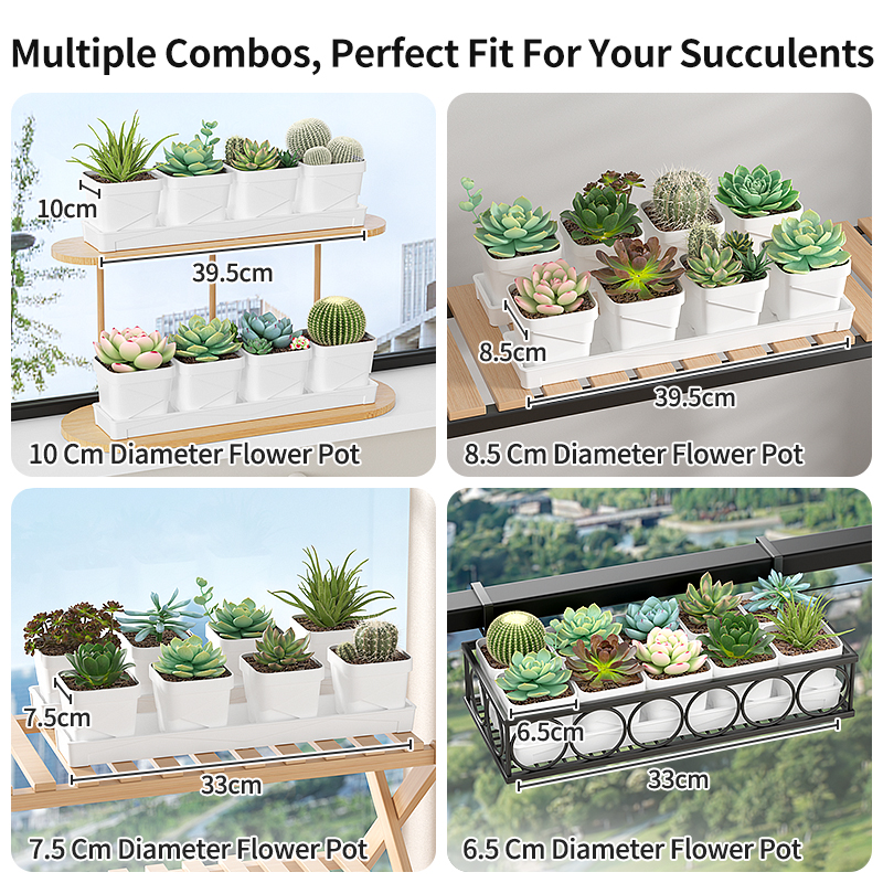 Nordic Minimalist Succulent Po - Cactus Mix Pot review and price