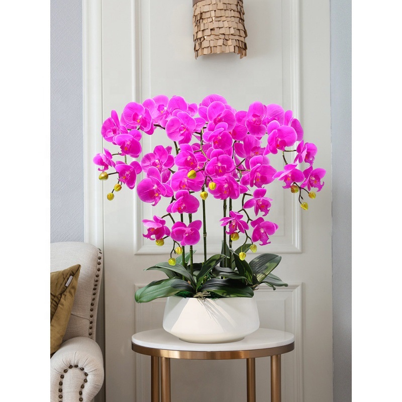 Decorative Flower Plastic Flow - Orchid Phalaenopsis review and price