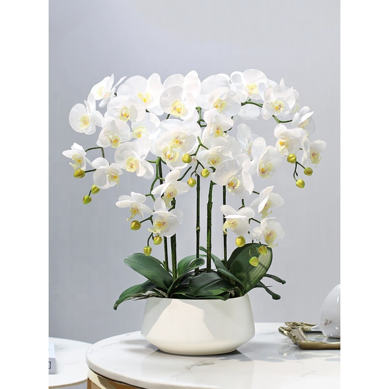 Decorative Flower Plastic Flow - Orchid Phalaenopsis review and price