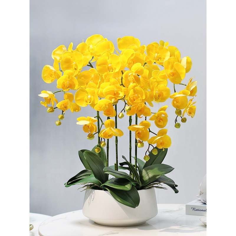 Decorative Flower Plastic Flow - Orchid Phalaenopsis review and price