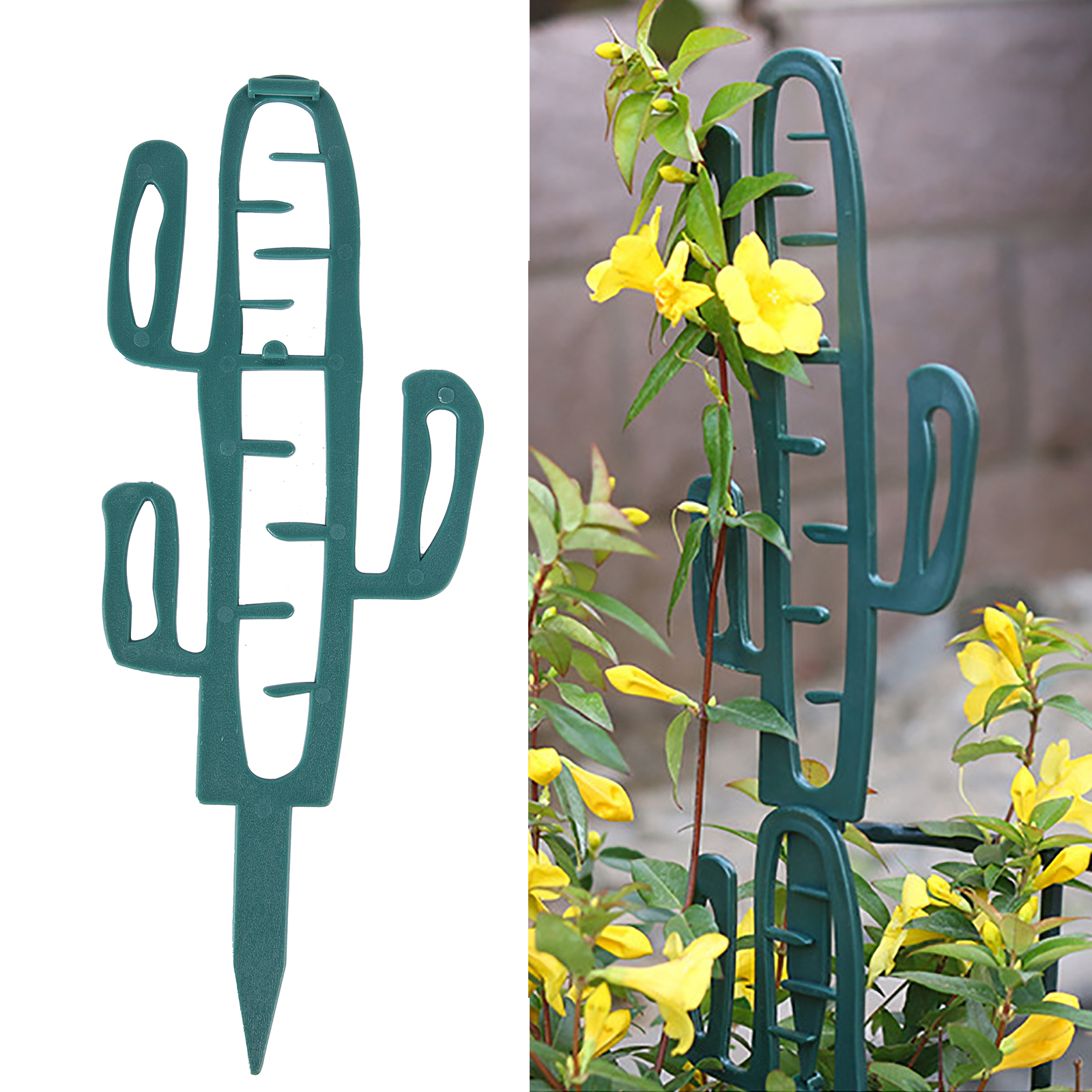 Plant Climbing Support Stand F - Cactus Mix Pot review and price
