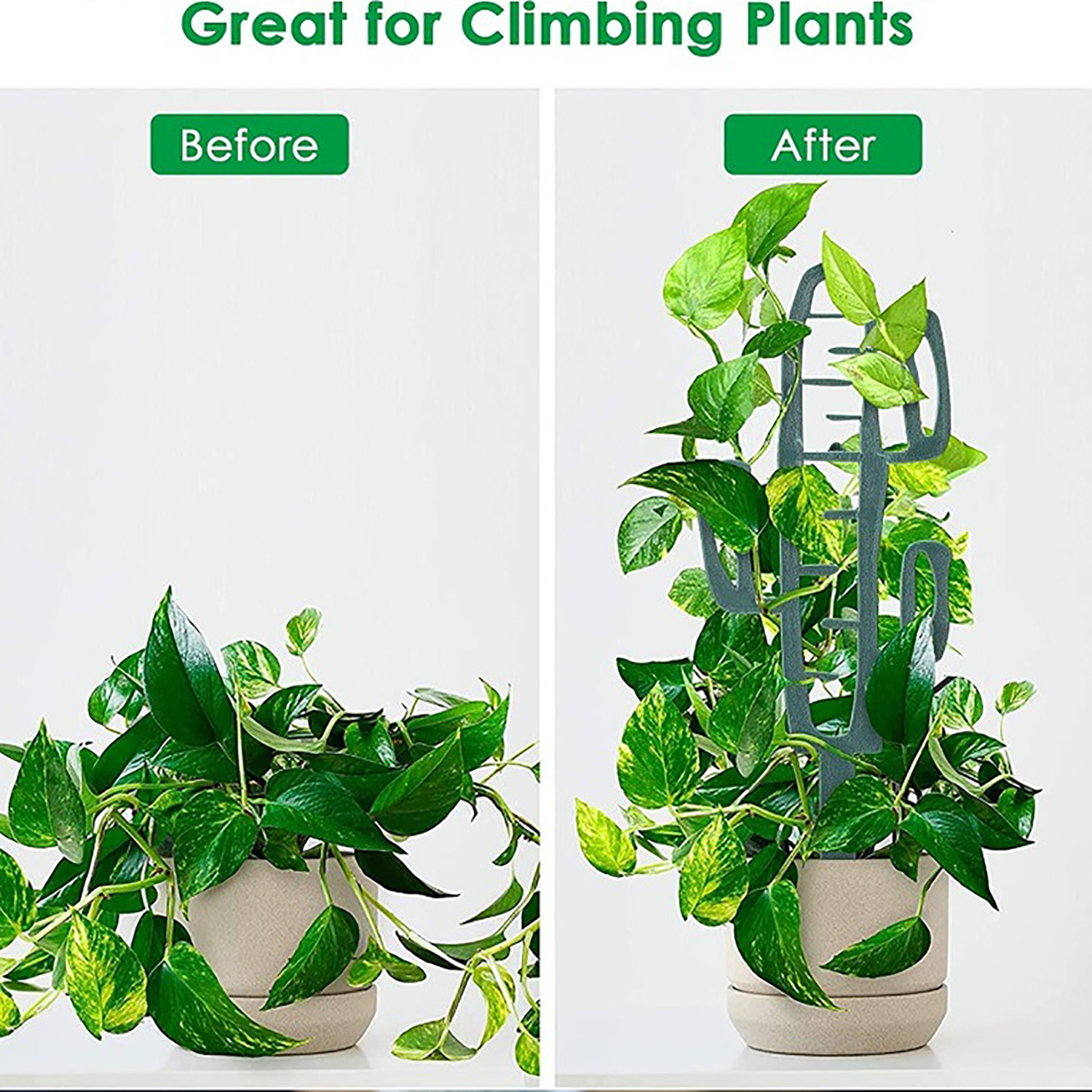 Plant Climbing Support Stand F - Cactus Mix Pot review and price