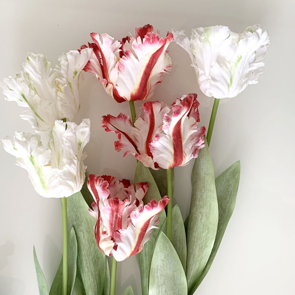 Luxury 3D Parrot Tulip branch  - Plant Parenthood review and price