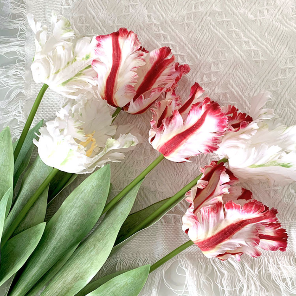Luxury 3D Parrot Tulip branch  - Plant Parenthood review and price