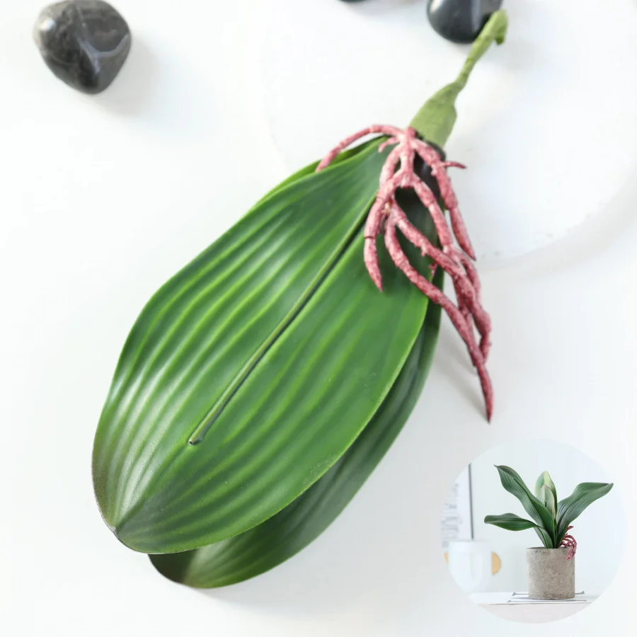 5 pieces of imitation orchid l - Orchid Phalaenopsis review and price
