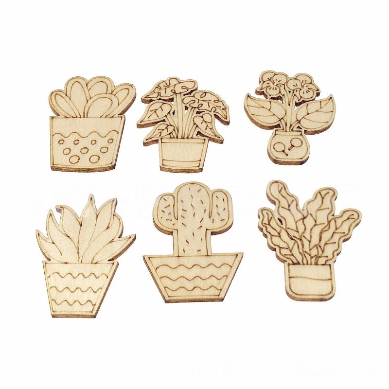 50PCS Mixed Styles Flower Cact - Cactus Mix Pot review and price